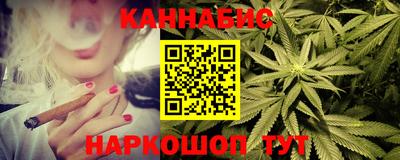 apvp Канаш