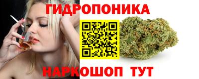 каннабис Кандалакша